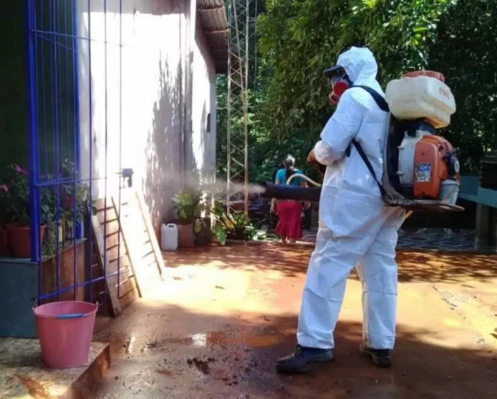 Oberá: intensifican tareas de prevención contra el dengue 