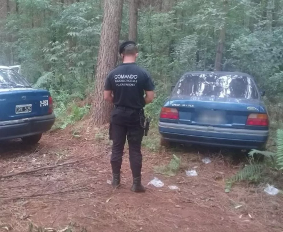 Eldorado: la Policía recuperó un auto que fue robado y oculto en un pinar