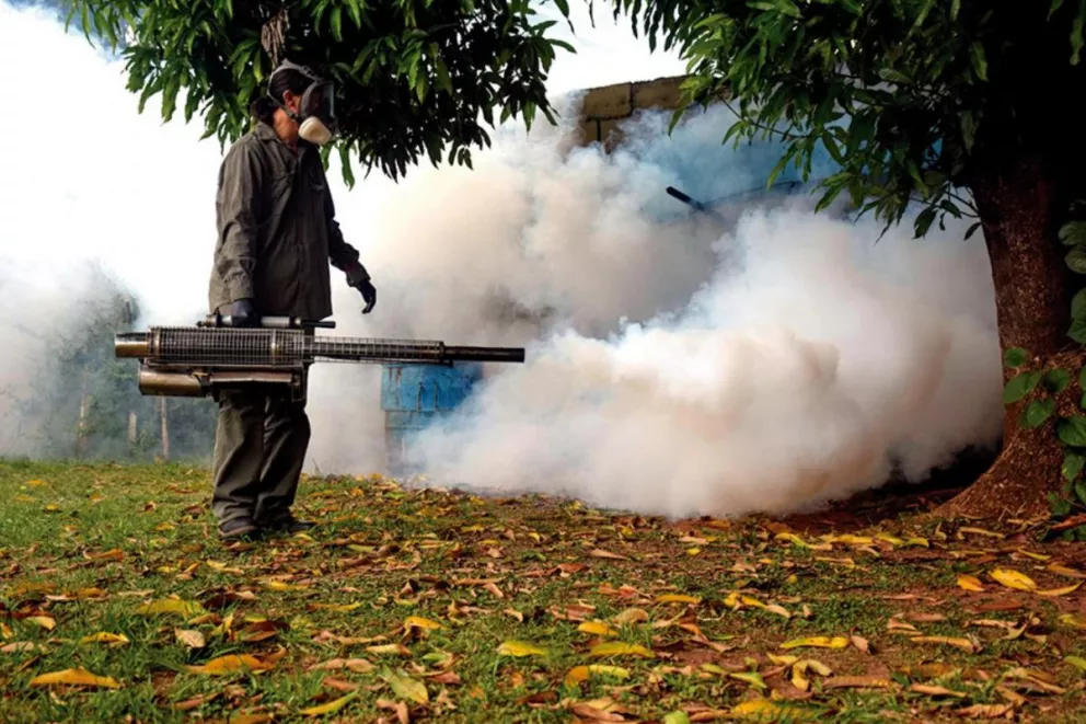 Intensifican los operativos contra el dengue en Posadas