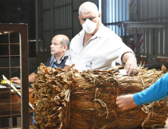 Acordaron un aumento del 59,95% para el precio del tabaco Acordaron un aumento del 59,95% para el precio del tabaco