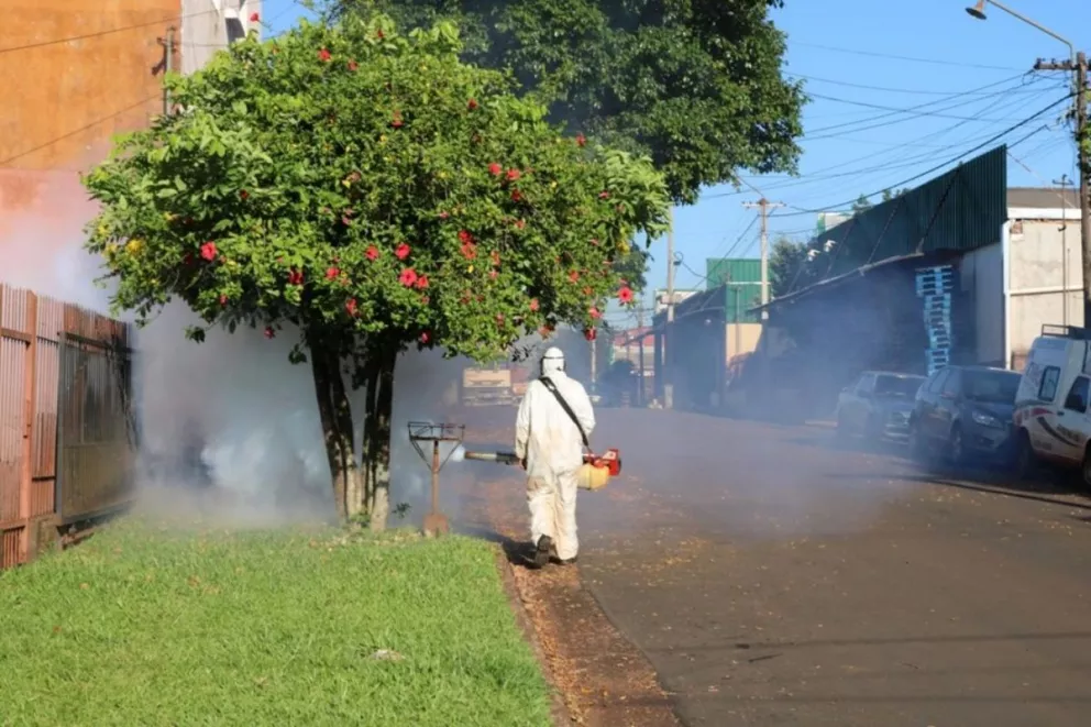 En Oberá siguen tomando acciones para frenar al dengue
