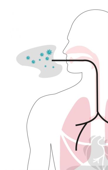 Tipos de transmisión Tipos de transmisión