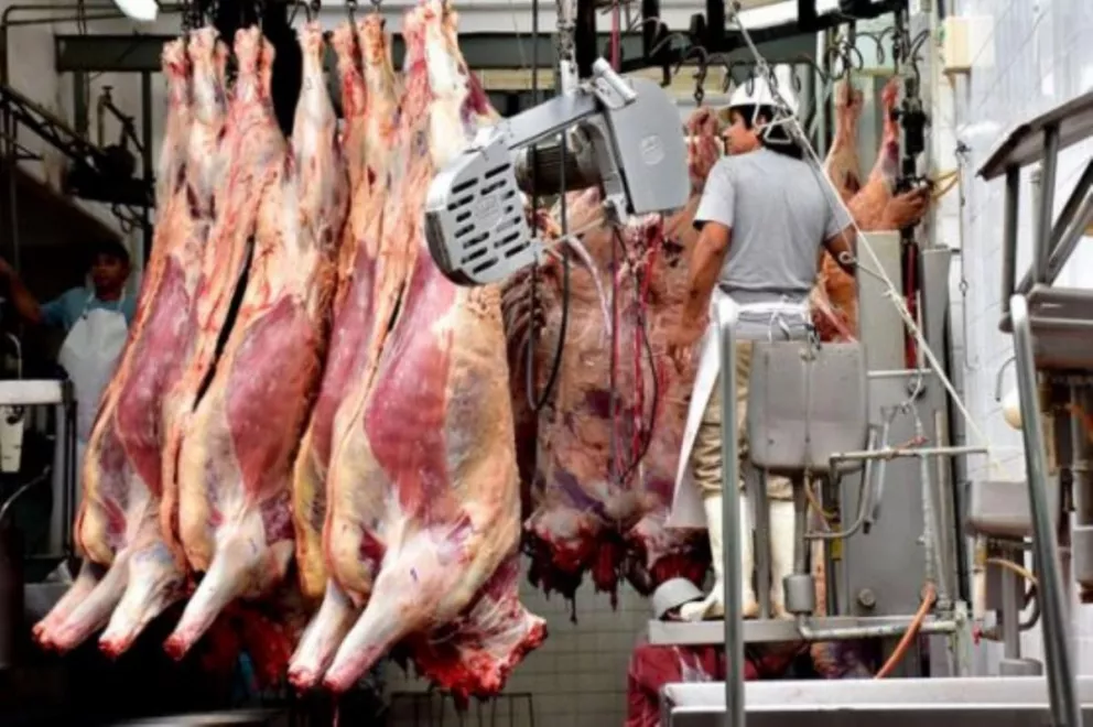Frigoríficos proyectan que los precios de la carne bajarán
