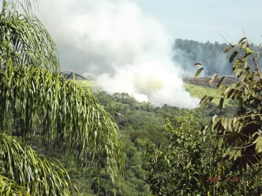 Preocupación por tala y quema a  cielo abierto de  monte nativo