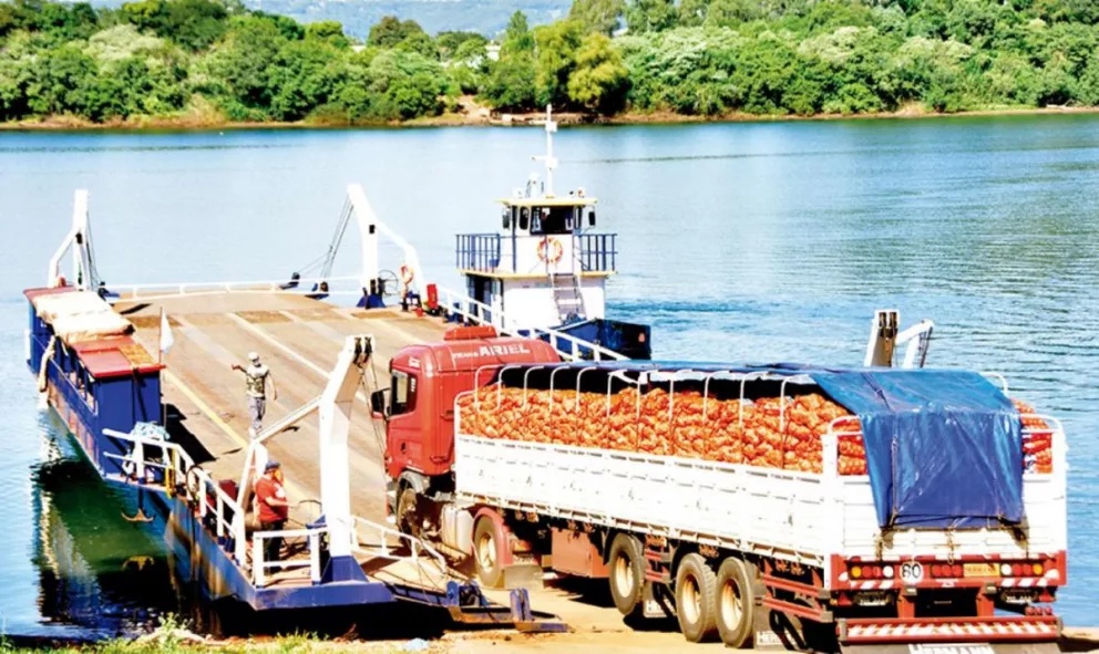Ajo y cebolla son los productos con más envíos a Brasil por San Javier 