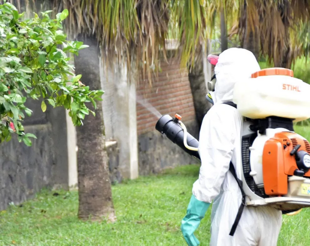 Subió a 8178 los casos notificados por dengue en Misiones
