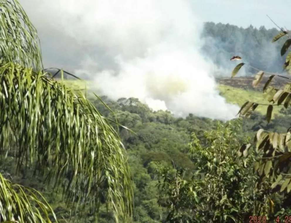 San Pedro: preocupación por desmonte y quema a cielo abierto de monte nativo