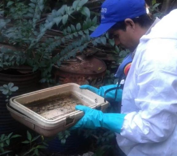 Continúan las tareas de prevención del dengue en Oberá Continúan las tareas de prevención del dengue en Oberá