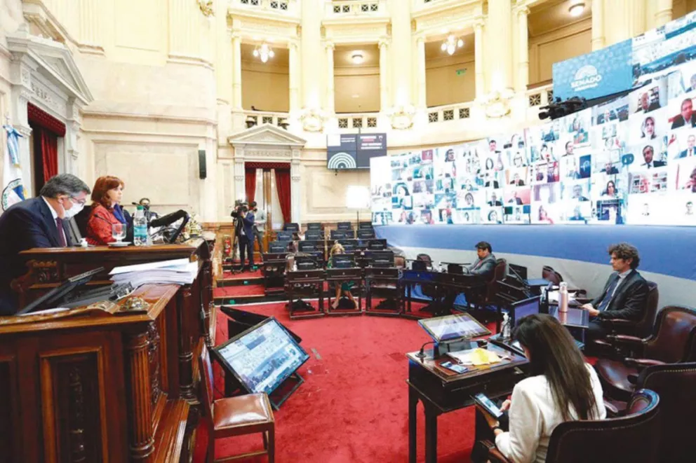 El Senado aprobó los 20 DNU  que firmó Alberto Fernández 