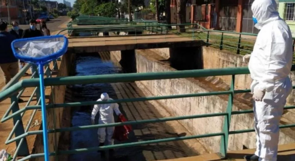 Contaminación del arroyo Vicario: continúa la medición del impacto ambiental