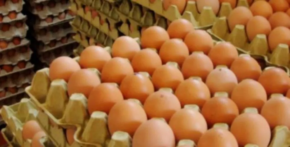 En Campo Ramón impulsarán la producción de huevos