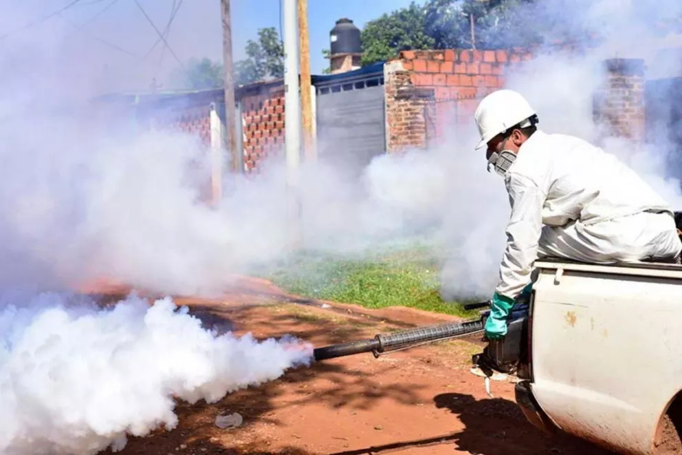 Dengue: brote que estalló en Andresito y Oberá ahora hace foco en Posadas