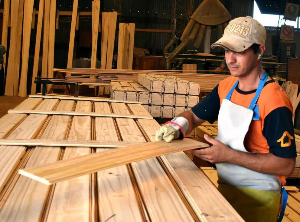 Lanzan página web sobre construcción en madera