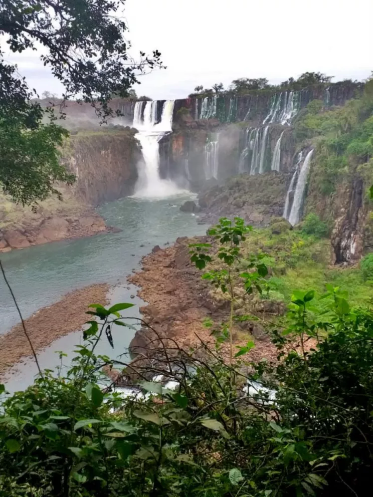 Sábados y domingos habrá caminatas en Parque Iguazú