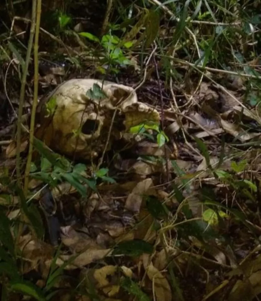 Hallaron restos óseos detrás de una estación de servicio en Posadas