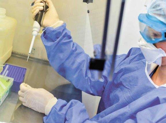 Antes, el recuperado debía tener dos PCR negativos con intervalo de 48 horas. Antes, el recuperado debía tener dos PCR negativos con intervalo de 48 horas.