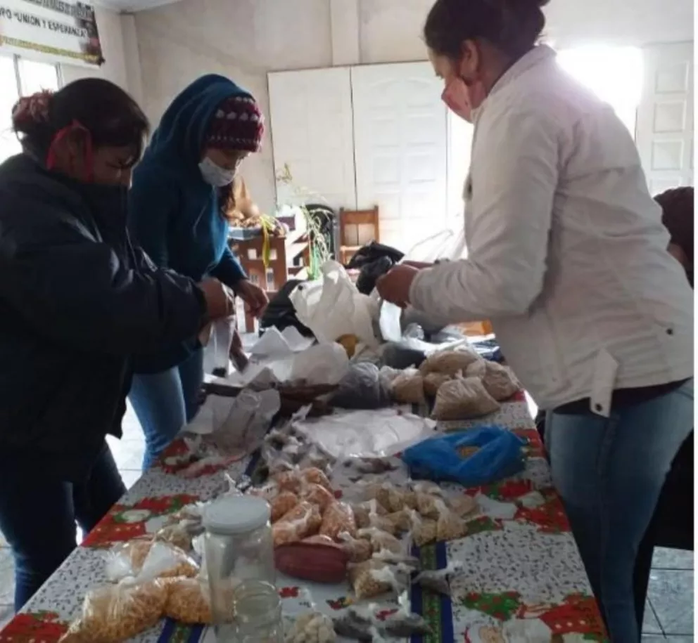 San Pedro: Mujeres Rurales intercambiaron semillas