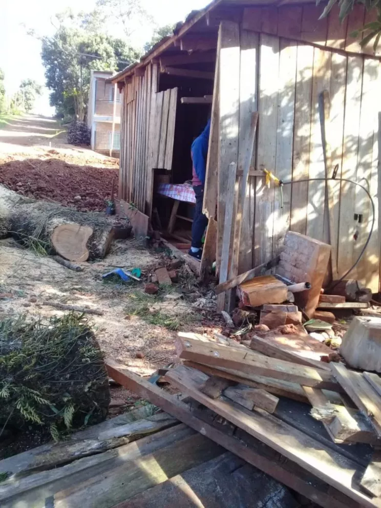 Susto en Oberá: operarios arreglaban la calle y tumbaron un árbol arriba de una casa