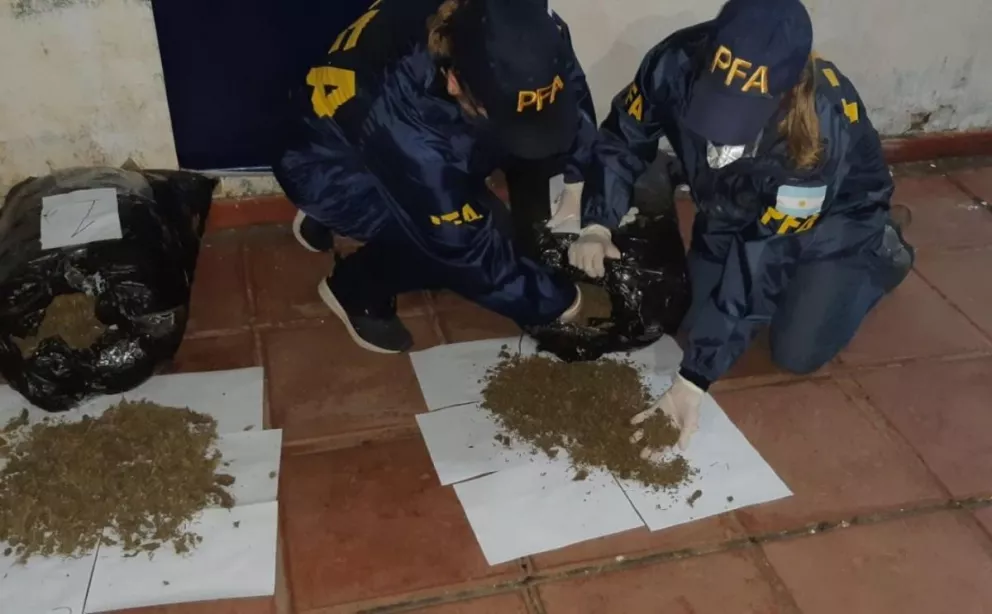 La Federal secuestró 20 kilos de flores de marihuana