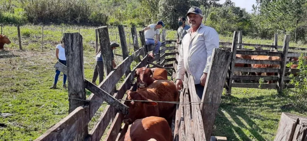 Apuntan a mejorar la comercialización y genética de la ganadería en Pozo Azul