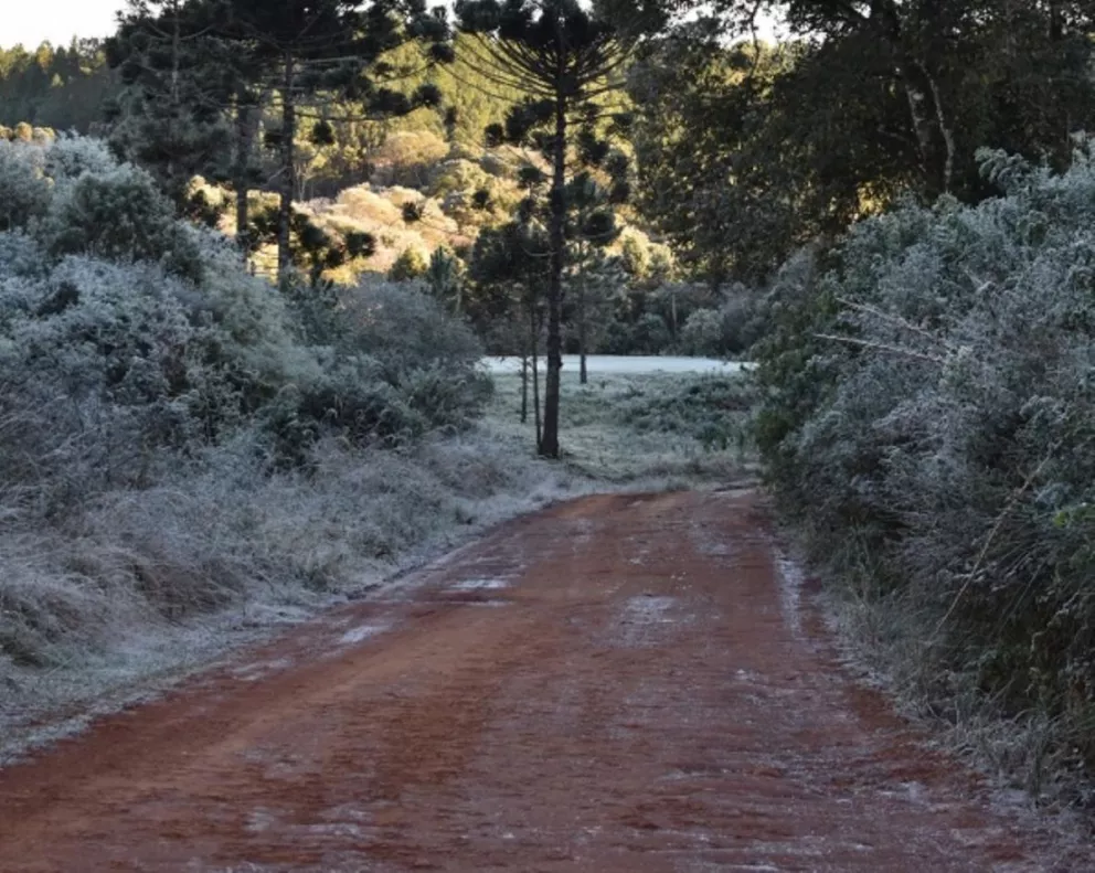 El frío se hace sentir en Misiones: reportan heladas y térmicas bajo cero 
