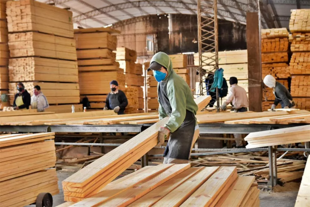 Compradores de madera del exterior en lista de espera por alta demanda