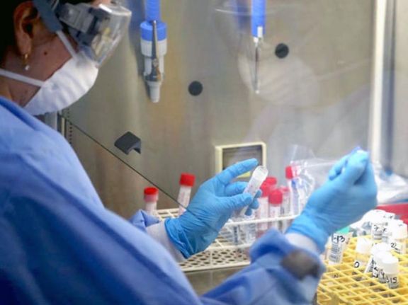 Con 30 nuevos casos, Corrientes registró hoy récord de contagios Con 30 nuevos casos, Corrientes registró hoy récord de contagios