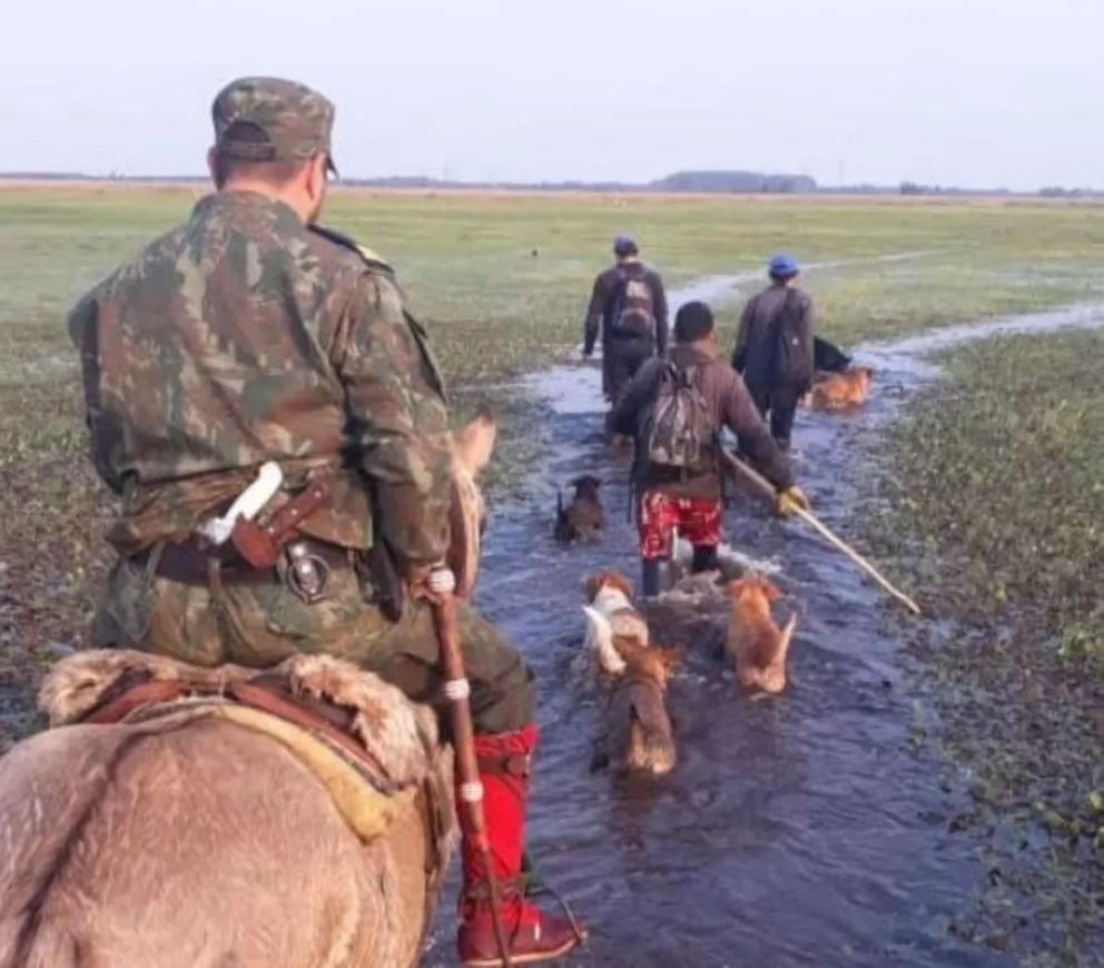 Demoran a tres jóvenes que intentaron robar animales en un campo de Ituzaingó