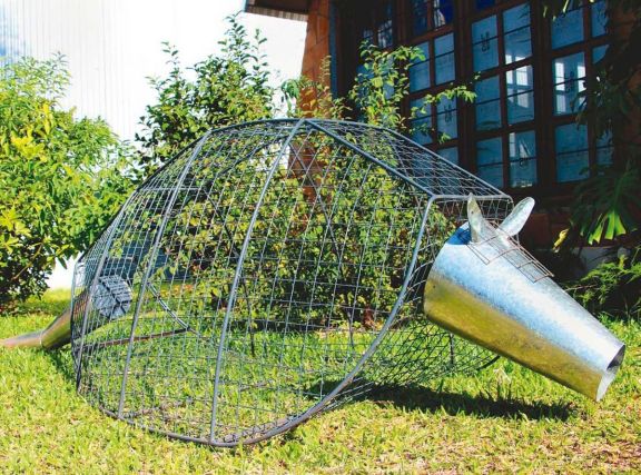 Los diseñadores se inspiraron en dos animalitos de la selva misionera. Los diseñadores se inspiraron en dos animalitos de la selva misionera.