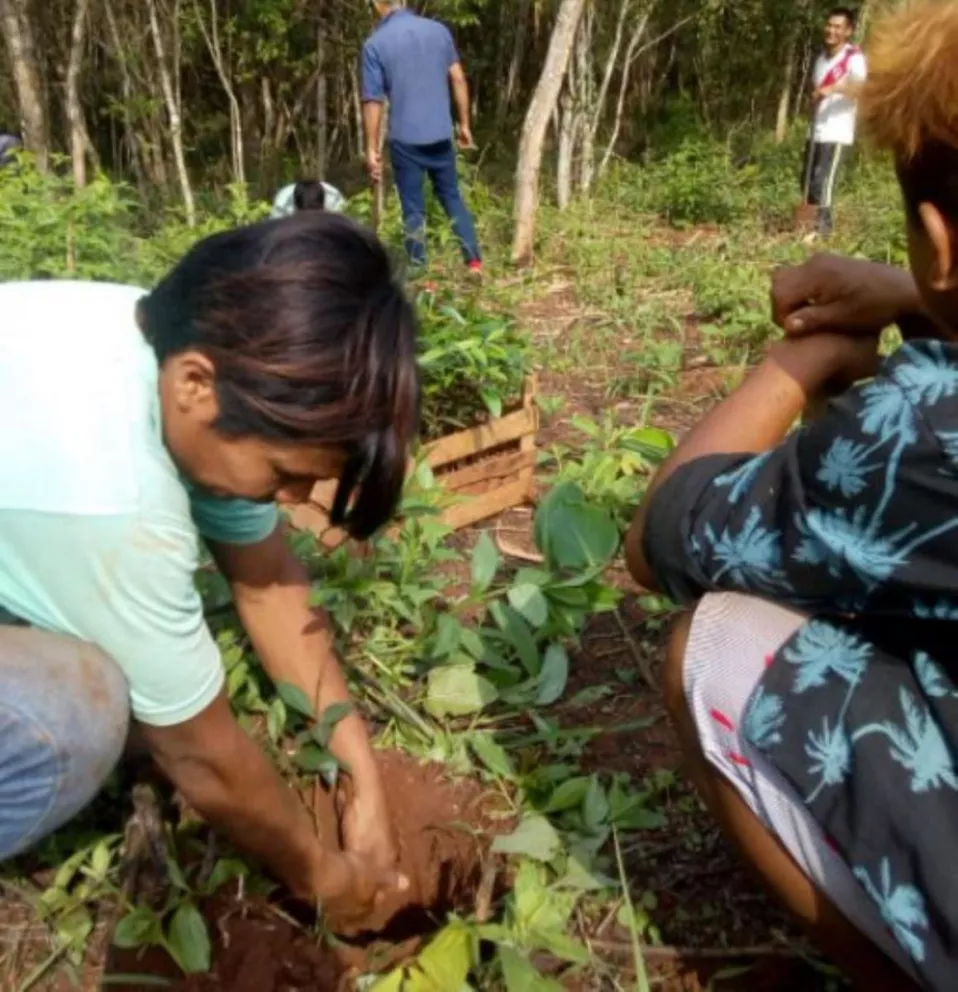Plantaron mudas de árboles frutales en la comunidad Yryapú
