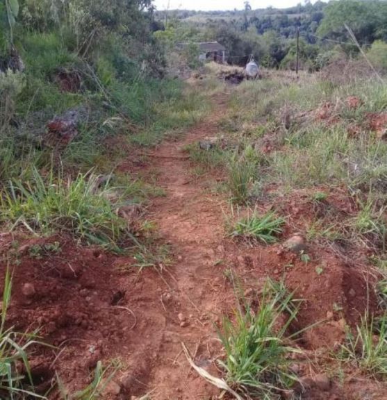 San Pedro: vecinos saldrán a la ruta por problemas de camino vecinal San Pedro: vecinos saldrán a la ruta por problemas de camino vecinal