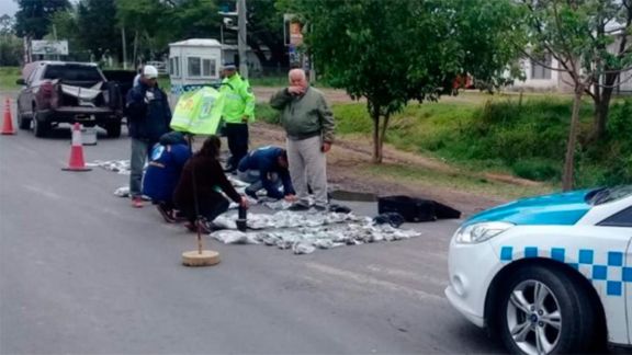 Misionero se declaró culpable y fue condenado por transportar cogollos de marihuana Misionero se declaró culpable y fue condenado por transportar cogollos de marihuana