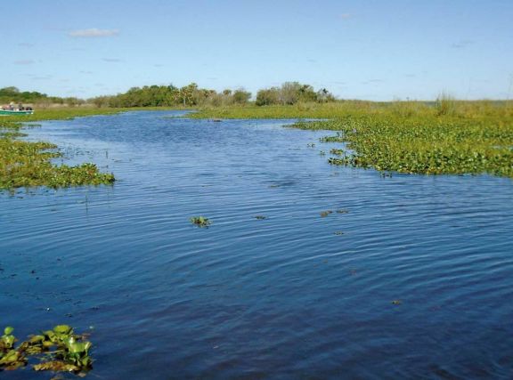De algunos de los principales ríos, de los puertos y de los peces De algunos de los principales ríos, de los puertos y de los peces