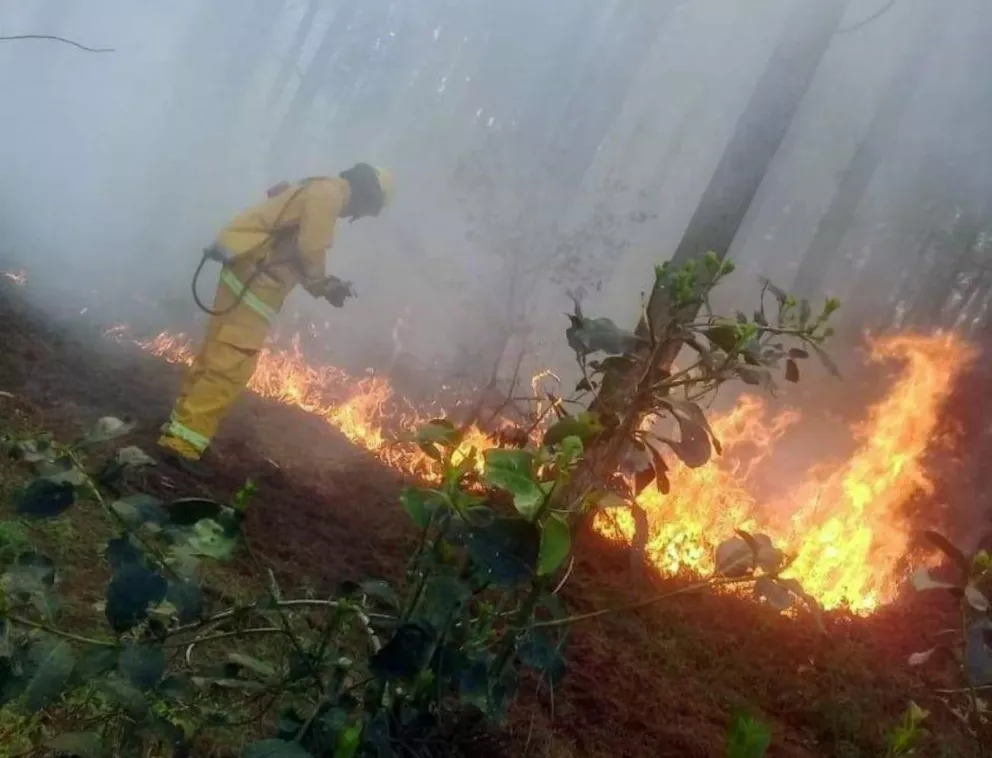 Gran columna de humo afecta el sur de Misiones y el riesgo de incendios es extremo 