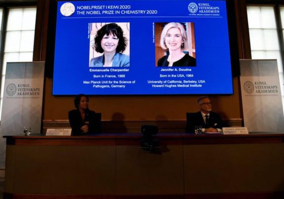Nobel de Química para dos científicas por reescribir el “código de la vida” Nobel de Química para dos científicas por reescribir el “código de la vida”
