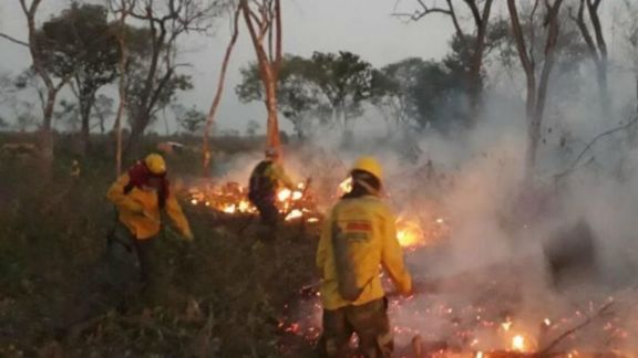 Bolivia decreta el desastre nacional por incendios y pide ayuda internacional Bolivia decreta el desastre nacional por incendios y pide ayuda internacional