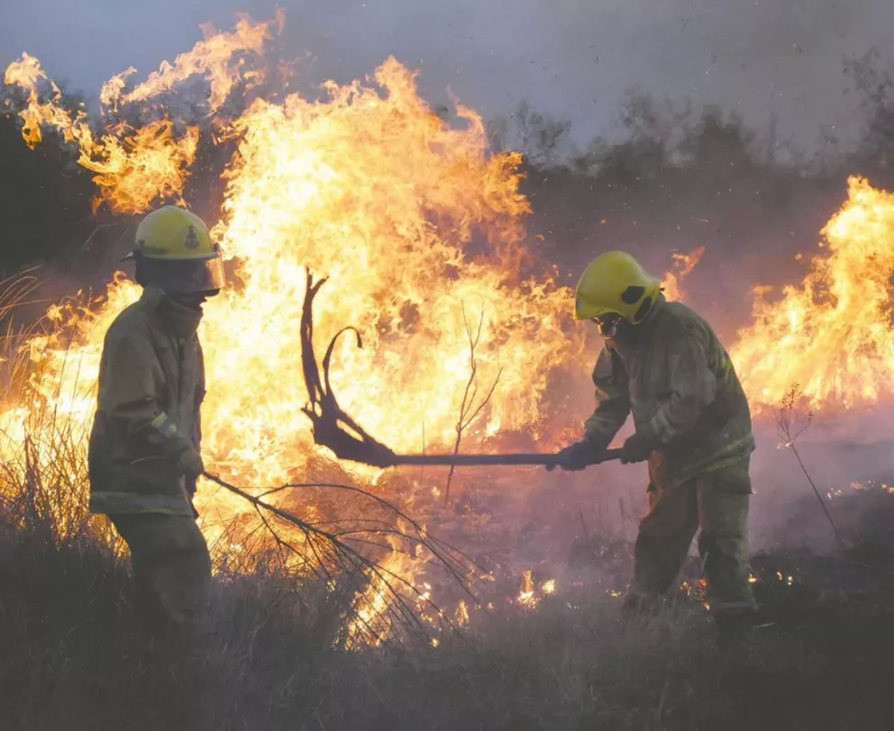 Se registraron 635 incendios forestales en menos de 20 días