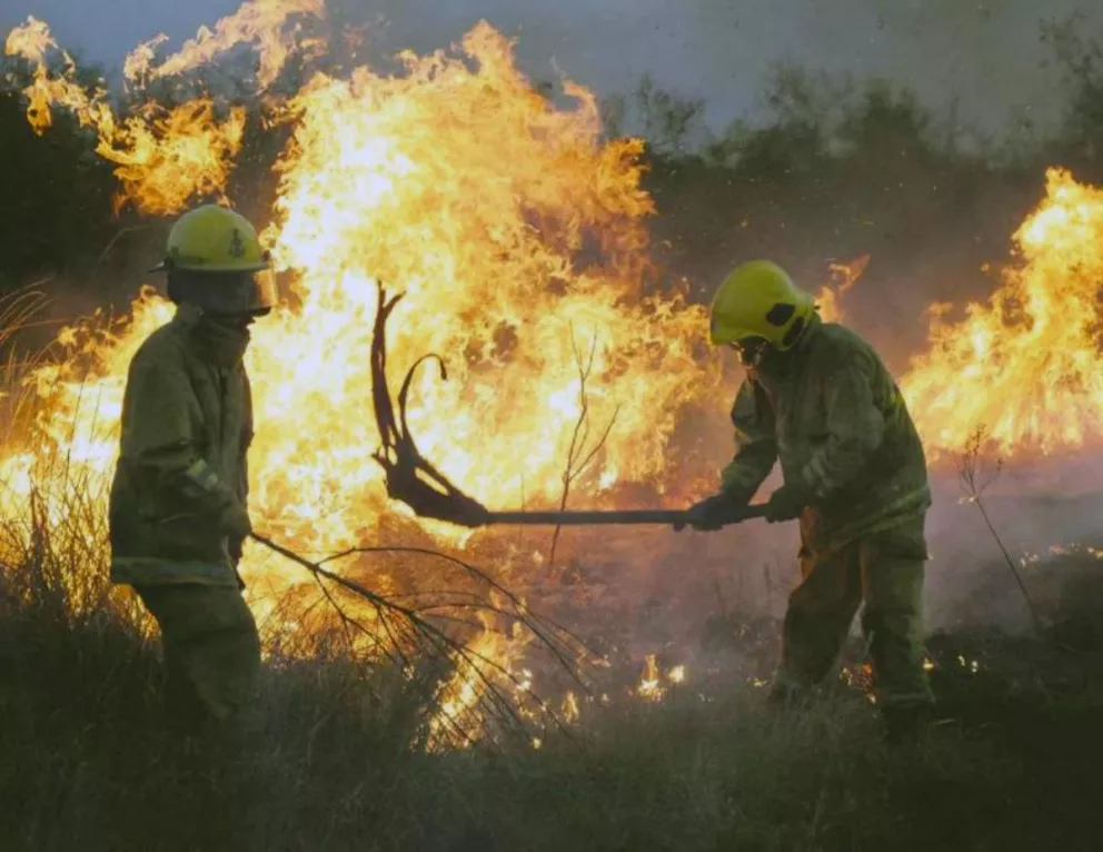 Otorgan asignación mensual de $10.000 a trabajadores que presten servicio en el combate de incendios