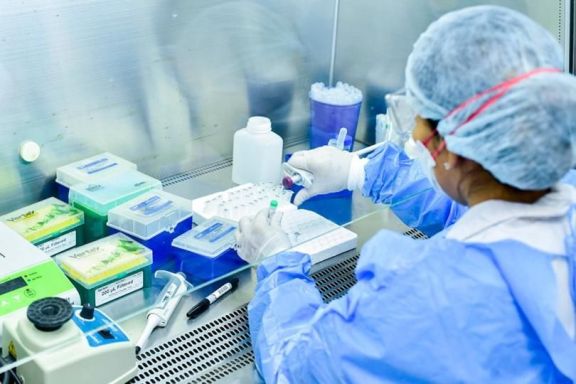 Misiones sumó otros siete nuevos casos positivos de Covid-19 al registro oficial Misiones sumó otros siete nuevos casos positivos de Covid-19 al registro oficial