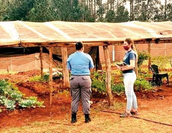 Apuntan a fortalecer oficios con el cultivo de huertas en penales Apuntan a fortalecer oficios con el cultivo de huertas en penales