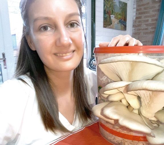 Produce hongos gourmet y busca satisfacer la creciente demanda Produce hongos gourmet y busca satisfacer la creciente demanda