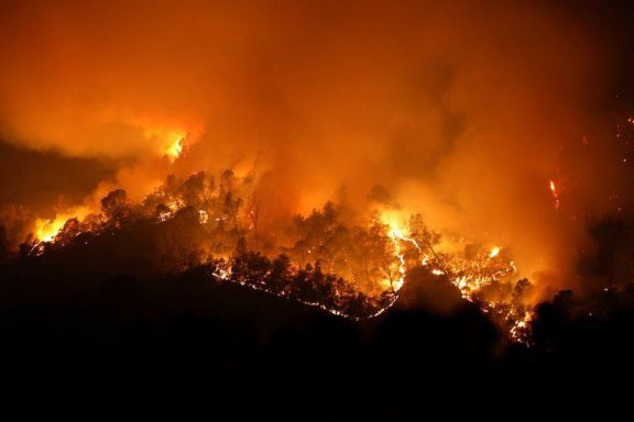 Donald Trump declaró “estado de desastre” en California por los incendios Donald Trump declaró “estado de desastre” en California por los incendios