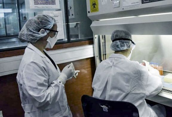 Pandemia Pandemia