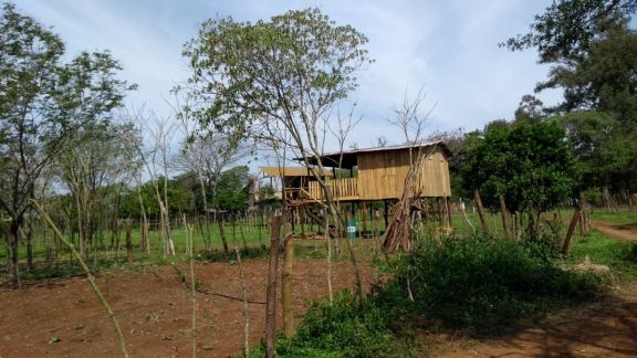 Intentan llegar a los responsables de la usurpación de tierras en Santo Tomé Intentan llegar a los responsables de la usurpación de tierras en Santo Tomé