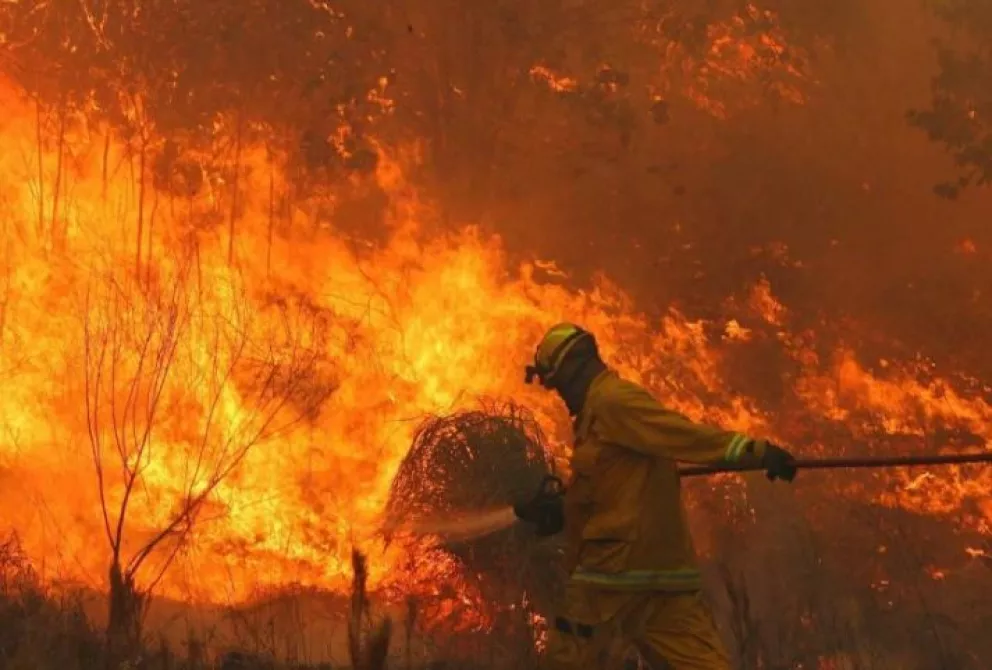 Extinguen focos activos de incendios forestales en Córdoba