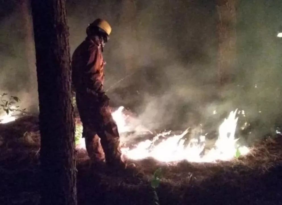 Incendio forestal consumió dos hectáreas en Libertad