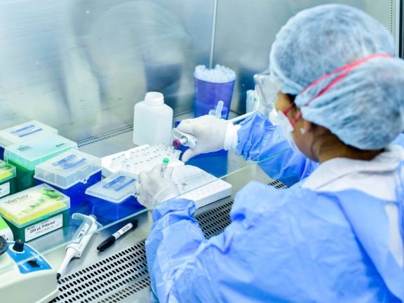Misiones sumó seis nuevos casos al registro oficial de Covid-19 Misiones sumó seis nuevos casos al registro oficial de Covid-19