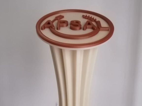 Premios Apsal 2020. Premios Apsal 2020.