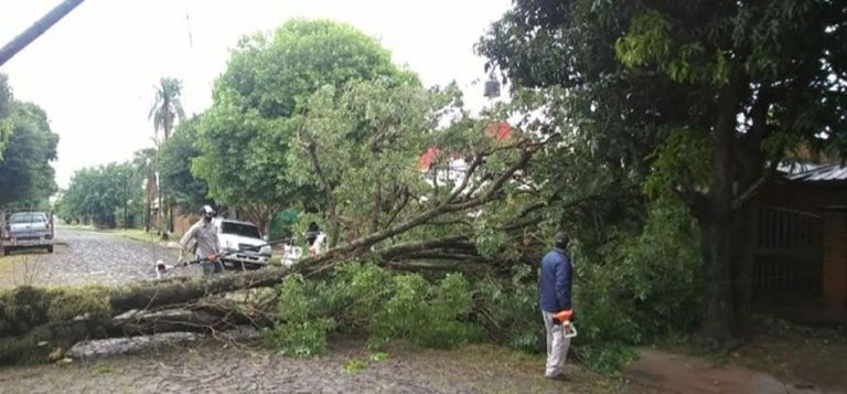 El temporal causó cortes de luz y voladura de techos en Posadas | El ...
