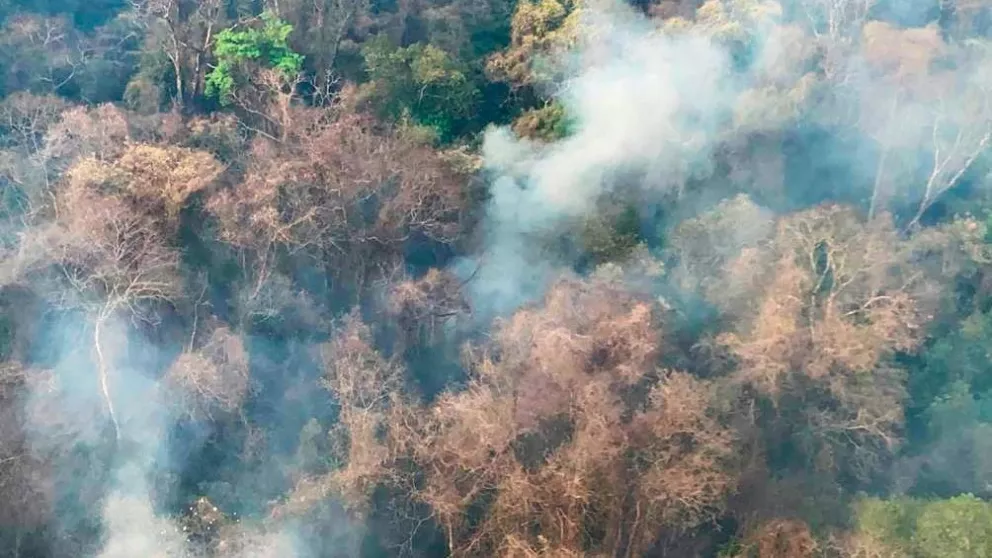 Cinco provincias continúan afectadas por incendios forestales
